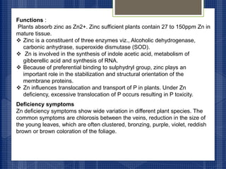 Functions :
Plants absorb zinc as Zn2+. Zinc sufficient plants contain 27 to 150ppm Zn in
mature tissue.
 Zinc is a constituent of three enzymes viz., Alcoholic dehydrogenase,
carbonic anhydrase, superoxide dismutase (SOD).
 Zn is involved in the synthesis of indole acetic acid, metabolism of
gibberellic acid and synthesis of RNA.
 Because of preferential binding to sulphydryl group, zinc plays an
important role in the stabilization and structural orientation of the
membrane proteins.
 Zn influences translocation and transport of P in plants. Under Zn
deficiency, excessive translocation of P occurs resulting in P toxicity.
Deficiency symptoms
Zn deficiency symptoms show wide variation in different plant species. The
common symptoms are chlorosis between the veins, reduction in the size of
the young leaves, which are often clustered, bronzing, purple, violet, reddish
brown or brown coloration of the foliage.
 