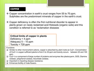  Copper concentration in earth’s crust ranges from 55 to 70 ppm.
Sulphides are the predominant minerals of copper in the earth’s crust.
 Copper deficiency is often the first nutritional disorder to appear in
plants grown on newly reclaimed acid Histosols (organic soils) and this
condition is referred to as ‘reclamation diseases
COPPER
Critical limits of copper in plants
Deficiency < 4 ppm
Adequacy 5 – 10 ppm
Toxicity > 720 ppm
Functions
 Similar to other micronutrient cations, copper is absorbed by plant roots as Cu2+. Concentration
of Cu2+ in copper sufficient plants is from 5 to 30 ppm and toxicity occurs between 20 and 100
ppm.
 Cu2+ is a component of large number of proteins and enzymes like plastocyanin, SOD, Diamine
oxidase, polyphenol oxidase, Ascorbate oxidase.
 Important in imparting disease resistance.
 Enhances fertility of male flowers.
 