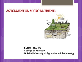 ASSIGNMENTON MICRO NUTRIENTs
SUBMITTED TO
College of Forestry
Odisha University of Agriculture & Technology
 