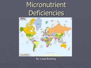 Micronutrient Deficiencies By: Lucas Bushong 