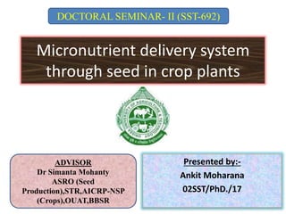 Micronutrient delivery system
through seed in crop plants
Presented by:-
Ankit Moharana
02SST/PhD./17
DOCTORAL SEMINAR- II (SST-692)
ADVISOR
Dr Simanta Mohanty
ASRO (Seed
Production),STR,AICRP-NSP
(Crops),OUAT,BBSR
 