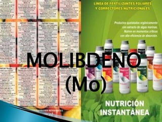 MOLIBDENO
   (Mo)
 