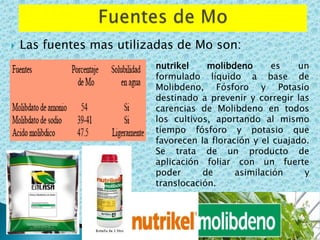    Las fuentes mas utilizadas de Mo son:
                          nutrikel    molibdeno      es    un
                          formulado líquido a base de
                          Molibdeno, Fósforo y Potasio
                          destinado a prevenir y corregir las
                          carencias de Molibdeno en todos
                          los cultivos, aportando al mismo
                          tiempo fósforo y potasio que
                          favorecen la floración y el cuajado.
                          Se trata de un producto de
                          aplicación foliar con un fuerte
                          poder      de      asimilación     y
                          translocación.
 