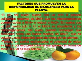 FACTORES QUE PROMUEVEN LA
     DISPONIBILIDAD DE MANGANESO PARA LA
                    PLANTA.
•El pH del suelo: suelos con un pH< 8 poseen
suficientes reservas de Mn3+ que los microorganismos
pueden oxidar a Mn4+ o reducir a Mn2+. En suelos con
un pH neutro (pH = 7), el Mn3+ es abundante y los
microorganismos del suelo pueden conseguir que
funciones como una buena reserva de Mn2+, que es
soluble y está disponible para las raíces de las plantas.
•Textura: en suelos encharcados el potencial de redox
es bajo y por eso predomina el manganeso en forma de
Mn2+ el cual es más soluble.
 