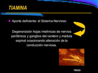 TIAMINA Aporte deficiente: el Sistema Nervioso Degeneración hojas mielínicas de nervios periféricos y ganglios del cerebro y médula espinal ocasionando alteración de la conducción nerviosa. TRIGO 