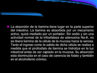 La absorción de la tiamina tiene lugar en la parte superior del intestino. La tiamina es absorbida por un mecanismo activo, quizá mediado por un portador. Sin sodio y sin una actividad normal de la trifosfatasa de adenosina Na-K, no se libera tiamina de la célula de la mucosa hacia la serosa. Tanto el ingreso como la salida de dicha célula se realiza a medida que el pirofosfato de tiamina se hidroliza en la luz intestinal antes de ser captado en la mucosa. Su absorción esta disminuida en el caso de carencia de folato y también en el alcoholismo crónico. 