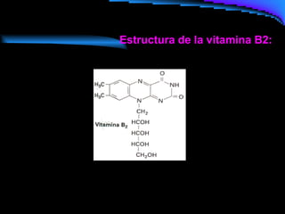 Estructura de la vitamina B2:                                             