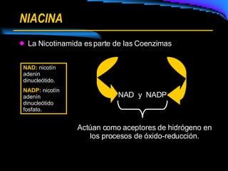 NIACINA La Nicotinamida es parte de las Coenzimas NAD  y  NADP Actúan como aceptores de hidrógeno en los procesos de óxido-reducción. NAD:   nicotín adenin dinucleótido. NADP:   nicotín adenín dinucleótido fosfato. 