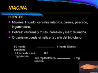 NIACINA FUENTES: Mejores: Hígado, cereales íntegros, carnes, pescado, leguminosas. Pobres: verduras y frutas, cereales y maíz refinados. Organismo puede sintetizar a partir del triptofano:  60 mg de triptofano 1 mg de Niacina > Leche de vaca 0.2 mg Niacina 120 mg triptofano  2 mg Niacina 