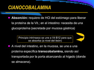 CIANOCOBALAMINA Absorción:  requiere de HCl del estómago para liberar la proteína de la Vit.; en el intestino: necesita de una glucoproteína (secretada por mucosa gástrica) A nivel del intestino, en la mucosa, se une a una proteína específica  transcobalamina,  siendo así transportada por la porta alcanzando al hígado (donde se almacena). Principio intrínseco se une a Vit B12 para que se absorba (a nivel del ileón) 
