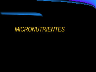 MICRONUTRIENTES 