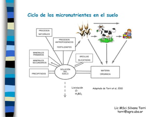Ciclo de los micronutrientes en el suelo


      PROCESOS
      NATURALES

                     PROCESOS
                  ANTROPOGENICOS

                  FERTILIZANTES
                    FERTILIZANTES

  MINERALES
  PRIMARIOS
                                           ARCILLAS

  MINERALES                               SILICATADAS
  SECUNDARIOS
                                                                                        MATERIA
                      SOLUCIÓN                                                          ORGÁNICA
      (1)               DEL                                    MATERIA
                                                             MICRO
 PRECIPITADOS          SUELO                               ORGANISMOS
                                                              ORGÁNICA




                                           QUELATOS
                                    Lixiviación         Adaptado de Torri et al, 2010
                                       Cl-
                                       H3BO3




                                                                             Lic MSci Silvana Torri
                                                                               torri@agro.uba.ar
 
