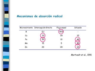 Mecanismos de absorción radical


 Micronutriente Intercepción directa
                             radical   Flujo masal      Difusión

       B                0.1               99.9             -

      Cu                 70                20              10

      Fe                 50                10             40

      Mn                 15                5              80

      Zn                20                 20             60



                                                     Mortvedt et al., 1991
 