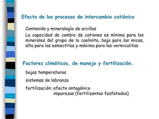 Efecto de los procesos de intercambio catiónico

 Contenido y mineralogía de arcillas
 La capacidad de cambio de cationes es mínima para los
 minerales del grupo de la caolinita, baja para las micas,
 alta para las esmectitas y máxima para las vermiculitas.



Factores climáticos, de manejo y fertilización.
 bajas temperaturas
 sistemas de labranza
 fertilización: efecto antagónico
                impurezas (fertilizantes fosfatados)
 