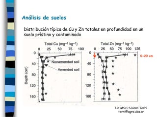 Análisis de suelos

Distribución típica de Cu y Zn totales en profundidad en un
suelo prístino y contaminado



                                                              0-20 cm




                                             Lic MSci Silvana Torri
                                               torri@agro.uba.ar
 