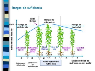 Rangos de suficiencia


                                        Valor            Rango de
                                        Critico
                                                        suficiencia
100%                      Rango de                                                    Rango de
                         deficiencia                                                  toxicidad
 Rendimiento relativo




                        Deficiencia    Deficiencia     Nivel   Nivel de   Toxicidad      Toxicidad
                          aguda          latente      Optimo     lujo       leve          aguda
                                          (leve)


                              A            B           C              D      E          F
                                                       Nivel óptimo de                    Concentración
                                                                                   Disponibilidad de
                        Sintomas de    Condiciones
                                                          nutrientes                            foliar
                                                                                 nutrientes en el suelo
                         deficiencia        no                                              de nutrientes
                                       sintomáticas
 