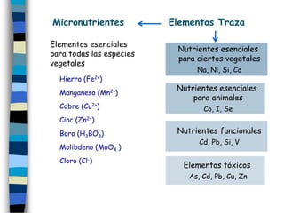 Micronutrientes           Elementos Traza

Elementos esenciales
                           Nutrientes esenciales
para todas las especies
                           para ciertos vegetales
vegetales
                                Na, Ni, Si, Co
  Hierro (Fe2+)
                           Nutrientes esenciales
  Manganeso (Mn2+)
                               para animales
  Cobre (Cu2+)                    Co, I, Se
  Cinc (Zn2+)
  Boro (H3BO3)             Nutrientes funcionales
                                 Cd, Pb, Si, V
  Molibdeno (MoO4-)
  Cloro (Cl-)
                            Elementos tóxicos
                              As, Cd, Pb, Cu, Zn
 