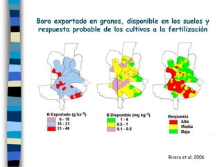 Boro exportado en granos, disponible en los suelos y
respuesta probable de los cultivos a la fertilización




                                        Rivero et al, 2006
 