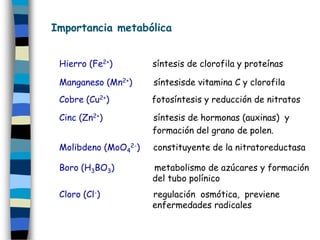 Importancia metabólica


 Hierro (Fe2+)        síntesis de clorofila y proteínas

 Manganeso (Mn2+)     síntesisde vitamina C y clorofila
 Cobre (Cu2+)         fotosíntesis y reducción de nitratos

 Cinc (Zn2+)          síntesis de hormonas (auxinas) y
                      formación del grano de polen.
 Molibdeno (MoO42-)   constituyente de la nitratoreductasa

 Boro (H3BO3)         metabolismo de azúcares y formación
                      del tubo polínico
 Cloro (Cl-)          regulación osmótica, previene
                      enfermedades radicales
 