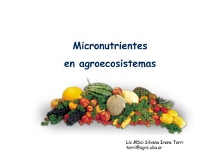 Micronutrientes
en agroecosistemas




            Lic MSci Silvana Irene Torri
            torri@agro.uba.ar
 