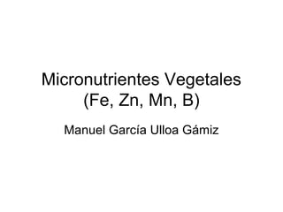Micronutrientes Vegetales
(Fe, Zn, Mn, B)
Manuel García Ulloa Gámiz
 