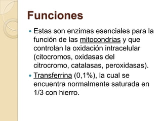 Funciones
 Estas son enzimas esenciales para la
  función de las mitocondrias y que
  controlan la oxidación intracelular
  (citocromos, oxidasas del
  citrocromo, catalasas, peroxidasas).
 Transferrina (0,1%), la cual se
  encuentra normalmente saturada en
  1/3 con hierro.
 
