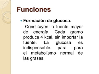 Funciones
   Formación de glucosa.
     Constituyen la fuente mayor
    de energía. Cada gramo
    produce 4 kcal, sin importar la
    fuente.   La    glucosa     es
    indispensable     para    para
    el metabolismo normal de
    las grasas.
 