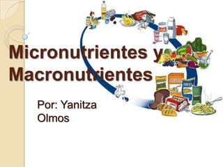 Micronutrientes y
Macronutrientes
   Por: Yanitza
   Olmos
 