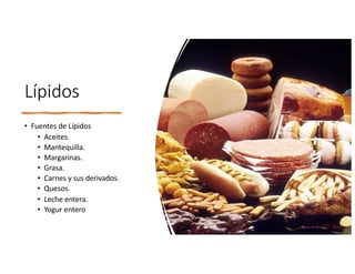 Lípidos
• Fuentes de Lípidos
• Aceites.
• Mantequilla.
• Margarinas.
• Grasa.
• Carnes y sus derivados.
• Quesos.
• Leche entera.
• Yogur entero
 