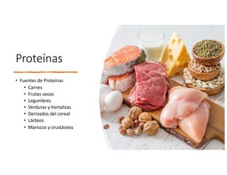 Proteínas
• Fuentes de Proteínas
• Carnes
• Frutos secos
• Legumbres
• Verduras y hortalizas
• Derivados del cereal
• Lácteos
• Mariscos y crustáceos
 