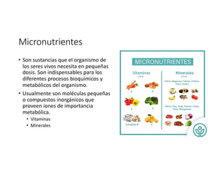 Micronutrientes
• Son sustancias que el organismo de
los seres vivos necesita en pequeñas
dosis. Son indispensables para los
diferentes procesos bioquímicos y
metabólicos del organismo.
• Usualmente son moléculas pequeñas
o compuestos inorgánicos que
proveen iones de importancia
metabólica.
• Vitaminas
• Minerales
 
