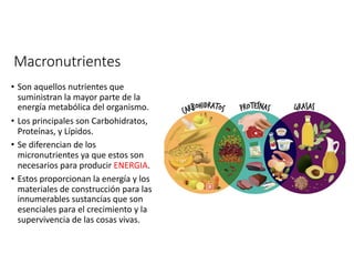 Macronutrientes
• Son aquellos nutrientes que
suministran la mayor parte de la
energía metabólica del organismo.
• Los principales son Carbohidratos,
Proteínas, y Lípidos.
• Se diferencian de los
micronutrientes ya que estos son
necesarios para producir ENERGIA.
• Estos proporcionan la energía y los
materiales de construcción para las
innumerables sustancias que son
esenciales para el crecimiento y la
supervivencia de las cosas vivas.
 