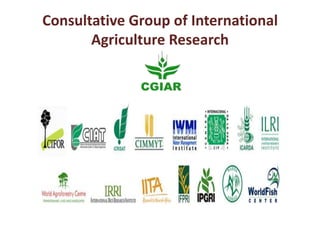 Micronutrient initiative of India: Policy considerations and contribution of animal source food