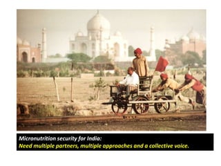 Micronutrient initiative of India: Policy considerations and contribution of animal source food