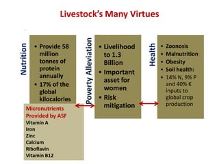 Micronutrient initiative of India: Policy considerations and contribution of animal source food