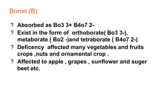 Micro nutrients | PPTX