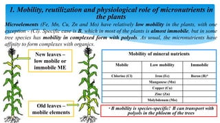 Micronutrients and foliar fertilization.pptx