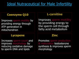 l carnitine sperm quality ROLE OF MICRONUTRIENTS IN INFERTILITY, ROLE OF CARNITINE BY DR SHASHWAT  JANI