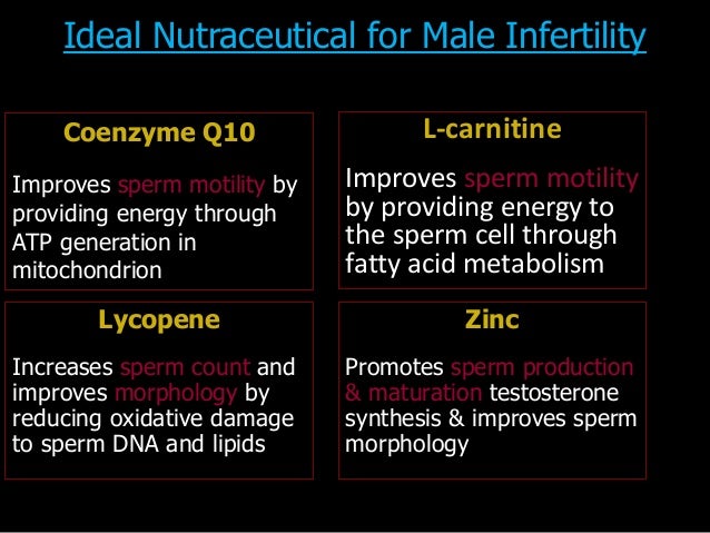 sperm Coenzyme production q10 Hornshaw recommends Swinging sex uk