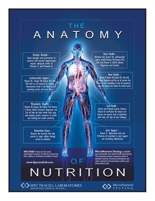 Ocular Health -                                 Heart Health -
    Good eyesight and prevention of             Nutrients that protect the cardiovascular
   cataracts and macular degeneration           system include Vitamin B6, Vitamin B12,
       require adequate levels of                 Folic Acid, Vitamin E, CoQ10, Calcium,
        Vitamin E and Vitamin A.                        Magnesium and Carnitine.


                                                                   Bone Health -
       Cardiovascular Support -                        Vitamin D, Vitamin B6, Vitamin B12, Folic Acid,
Vitamin B2, Vitamin B6, Vitamin B12 and             Calcium, Magnesium and Zinc are all nutrients that
 Folic Acid are all required for reducing           assist in bone remodeling, to ward off osteoporosis
   homocysteine levels in the blood and             and other diseases that weaken the skeletal system.
    protecting arteries and nerve fibers.




         Metabolic Health -
 Vitamin B3, Vitamin B6, Vitamin B12 Vitamin                     Liver Health -
 E, Biotin, CoQ10, Chromium, Magnesium and          Cysteine and N-Acetyle Cysteine, Selenium,
   Zinc all help the body handle daily sugar        Vitamin B2 and Vitamin B3 enhance liver
  load, keeping systems responsive to insulin      function and optimize levels of glutathione
      and restoring lost insulin sensitivity.      which helps cells fight off toxic challenges.



             Antioxidant Status -                               Joint Support -
         Measures the nutrients that help              Vitamin E, Alpha-Lipoic Acid and
        prevent or repair cellular damage          B Vitamins all contribute to joint support
               caused by oxidation.                       and controlling inflammation.



SPECTROX® measures the total                    MicroNutrient Testing is available
antioxidant function of cells by measuring      now exclusively from SpectraCell Laboratories.
their ability to withstand oxidative stress.    This patented analysis measures levels of
                                                selected vitamins, minerals, antioxidants and
                                                other essential micronutrients within your
   www.SpectraCell.com                          white blood cells.
 
