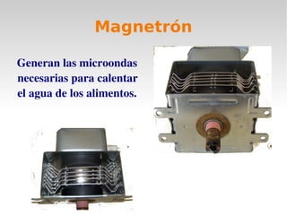 Magnetrón
Generan las microondas
necesarias para calentar
el agua de los alimentos.