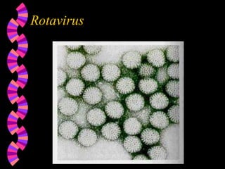 Rotavirus
 