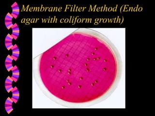 Membrane Filter Method (Endo
agar with coliform growth)
 