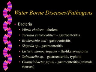Water Borne Diseases/Pathogens
 Bacteria
• Vibrio cholera - cholera
• Yersinia enterocolitica - gastroenteritis
• Escherichia coli - gastroenteritis
• Shigella sp.- gastroenteritis
• Listeria monocytogenes - flu-like symptoms
• Salmonella sp. - gastroenteritis, typhoid
• Campylobacter jejuni - gastroenteritis (animals
sources)
 