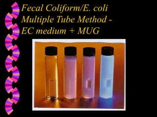 Fecal Coliform/E. coli
Multiple Tube Method -
EC medium + MUG
 