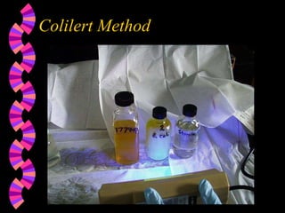 Colilert Method
 