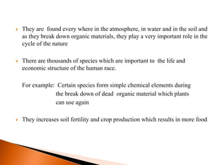  They are found every where in the atmosphere, in water and in the soil and
as they break down organic materials, they play a very important role in the
cycle of the nature
 There are thousands of species which are important to the life and
economic structure of the human race.
For example: Certain species form simple chemical elements during
the break down of dead organic material which plants
can use again
 They increases soil fertility and crop production which results in more food
 
