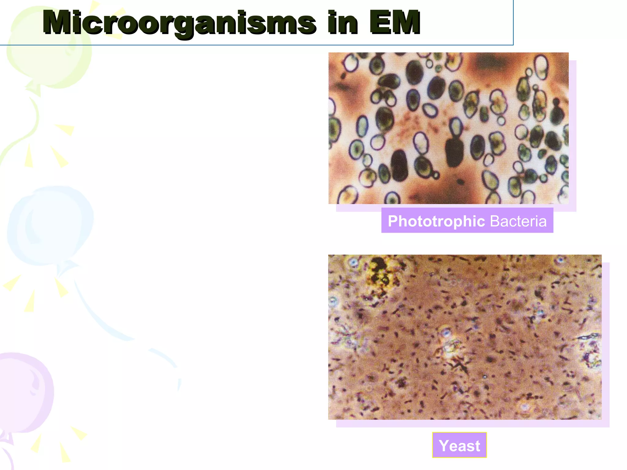 Effective microorganisms | PPT