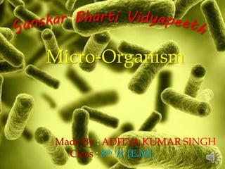 Made By : ADITYA KUMAR SINGH
Class : 8th ‘A’ [E.M]
Micro-Organism
 