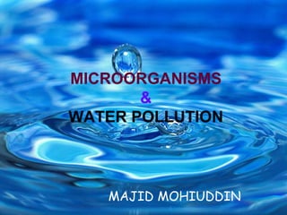 MICROORGANISMS   &  WATER POLLUTION MAJID MOHIUDDIN 